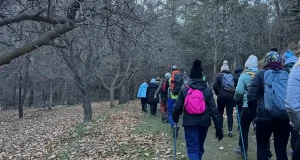 Si caminas, poco o mucho, tu riesgo de tener enfermedades cardiovasculares se reduce