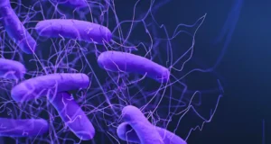 El descubrimiento de los mecanismos moleculares que «despiertan» a la superbacteria Clostridioides difficile podría abrir la puerta nuevos fármacos contra una de las bacterias hospitalarias más peligrosas