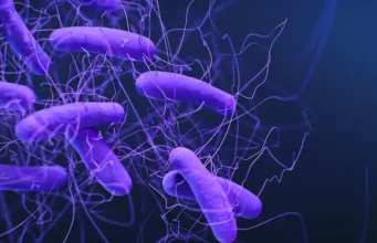 El descubrimiento de los mecanismos moleculares que «despiertan» a la superbacteria Clostridioides difficile podría abrir la puerta nuevos fármacos contra una de las bacterias hospitalarias más peligrosas