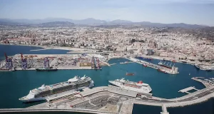 La mitad de las especies invasoras que llegan a los mares europeos lo hacen como «polizones» de buques comerciales