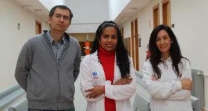 El alcohol altera la expresión de genes clave incluso tras consumos esporádicos