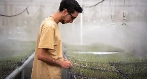 Los invernaderos de esta universidad de Colombia dan de comer a cinco mil personas cada día