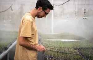 Los invernaderos de esta universidad de Colombia dan de comer a cinco mil personas cada día
