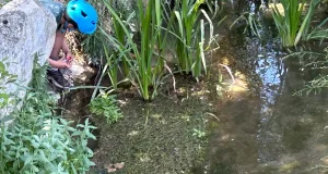 Analizan el agua de pozos particulares, fuentes, pilones, manantiales y otras fuentes de abastecimiento en busca de nitratos en el agua