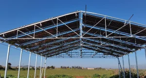Esta estructura agrovoltaica recoge agua de lluvia, protege los cultivos y genera energía limpia de forma simultánea