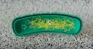 Reprograman bacterias para que ‘aprendan’ a degradar plásticos sin emplear ADN externo