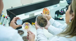 Microorganismos, los aliados para revivir suelos degradados