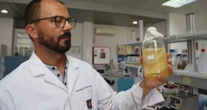 Diseñan un consorcio microbiano para la producción de nanocelulosa a partir de subproductos de naranja