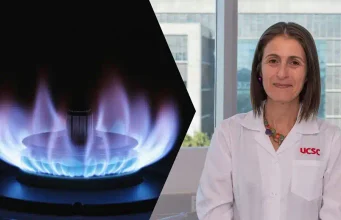 Proyecto convertirá aceite usado y grasa cárnica en dos gases renovables