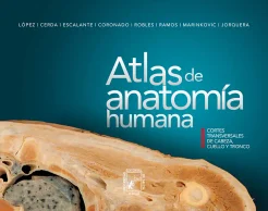 El Atlas de la Anatomía Humana realizado por investigadores chilenos ya puede descargarse gratuitamente en formato electrónico en línea