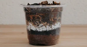 Plantil World, ganador de la 15ª Maratón de Creación de Start-ups UMH, lanza al mercado su línea de sustratos para plantas de interior