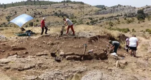 Encuentran un edificio de culto con restos de ofrendas, tanto de animales como vegetales en el yacimiento La Peña del Castro de León