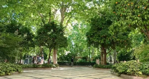 Integrar grandes parques en las ciudades ayuda a reconectar a la personas con el medio natural