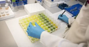 España organiza por primera vez un encuentro entre el Consejo Científico del Consejo Europeo de Investigación y la comunidad investigadora española
