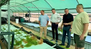 Los biofiltros pueden recuperar el nitrógeno y el fósforo de los efluentes acuícolas