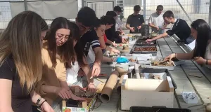 Un centenar de estudiantes de Magisterio de la UBU participan en un taller de construcción de hoteles de insectos y polinización