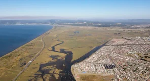 El humedal que sí tiene habitantes: por qué Rocuant-Andalién es clave para el pilpilén y las ciudades