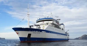 El IEO evalúa la abundancia y distribución de las principales especies comerciales de pesca en el Mediterráneo occidental