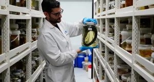 El IEO pone en valor una colección científica de 110 años