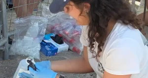 Nacen 56 tortugas bobas del nido de la playa de la Rumina de Mojácar