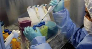 Hallan la primera evidencia molecular de la llegada de la viruela a América