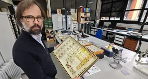 La belleza de las mariposas condiciona su interés social y las políticas para su conservación