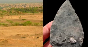Recuperan miles de artefactos de piedra y tres esqueletos fósiles de Homo Sapiens de hace cien mil años en Etiopía