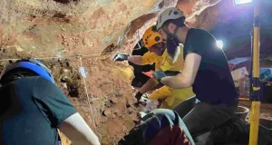 Recuperan ADN de las paredes de una cueva paleolítica