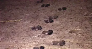 Inician el expediente para declarar BIC las huellas fósiles de camello de la Hoya de la Sima de Jumilla