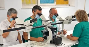 El Banco de Cerebros de Murcia recibe 322 donaciones desde 2007 para investigar enfermedades como Alzheimer, Parkinson, Esclerosis Múltiple o ELA