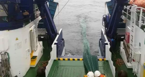 España y Portugal lanzan una nueva campaña para conocer las reservas de pesca de sardina y anchoa en el Atlántico ibérico