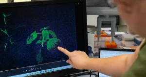La UPV, mejor universidad de España para estudiar Ciencias Agrícolas, Arte y Diseño, Ingeniería Química y Estadística e Investigación Operativa