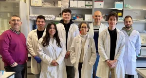 Revelan por primera vez el papel que ejercen dos proteínas en el desarrollo de los sarcomas