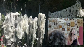 Revalorizar la lana de oveja en territorios trashumantes