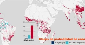 La caza es una amenaza para la biodiversidad que está mucho más extendida de lo que se pensaba en el trópico, el área con mayor número de especies del planeta