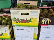 Alimentos de España premia un proyecto por recuperar ocho toneladas de alimentos anuales