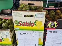 Alimentos de España premia un proyecto por recuperar ocho toneladas de alimentos anuales
