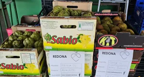 Alimentos de España premia un proyecto por recuperar ocho toneladas de alimentos anuales