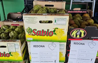 Alimentos de España premia un proyecto por recuperar ocho toneladas de alimentos anuales