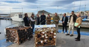 Cuatro estructuras biométricas transformarán el gris del cemento del Puerto de Águilas en espacios de biodiversidad marina