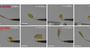 Un nuevo material promete revolucionar la robótica blanda, músculos artificiales o sistemas de protección térmica en aeronáutica