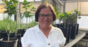 Una ingeniera colombiana desarrolla «tomates espaciales» que podrían usarse en una futura agricultura lunar o marciana