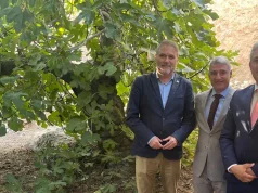 El Monasterio riojano de Yuso contará con un esqueje de la higuera centenaria del poeta Miguel Hernández