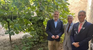 El Monasterio riojano de Yuso contará con un esqueje de la higuera centenaria del poeta Miguel Hernández