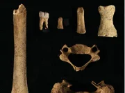 Descubren el uso como lugar de enterramiento de la Cueva Eirós y el Monte Penedo de Lugo por neandertales