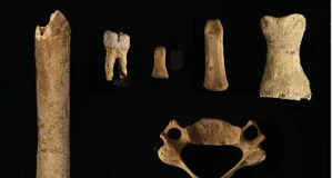 Descubren el uso como lugar de enterramiento de la Cueva Eirós y el Monte Penedo de Lugo por neandertales