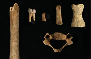 Descubren el uso como lugar de enterramiento de la Cueva Eirós y el Monte Penedo de Lugo por neandertales