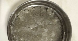 Obtienen microcápsulas de descartes pesqueros con aplicaciones para detergentes y piensos acuícolas