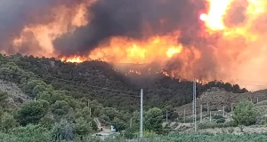 «Los grandes incendios van a seguir formando parte del paisaje mediterráneo», y avisan de que «es fundamental que aprendamos a convivir con el fuego»