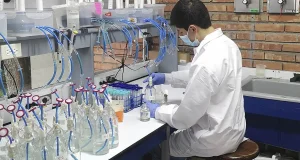Estiércol de cerdo y bacterias, aliados para la producción sostenible de fertilizantes
